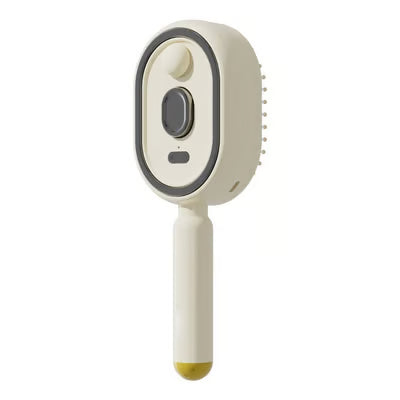 Electric Spray Air Cushion Massage Comb Reassu